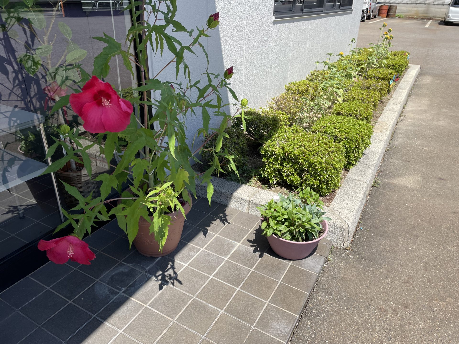 お盆の営業カレンダーです みがき棒鋼 一般鋼材 特殊鋼の浅野鋼材株式会社